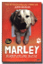 Marley: Bukan Anjing Biasa